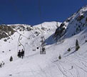 Brezovica