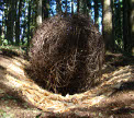 ArsKozara 2009