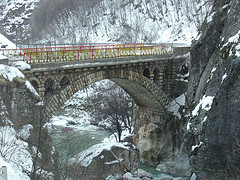 Kossovo, Val Rugova: atmosphere to peace among Peuce pine