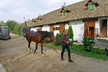 Serbia, la via dei Salaš