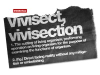 Vivisectfest on human rights: da Novi Sad a Torino, 11-15 dicembre.