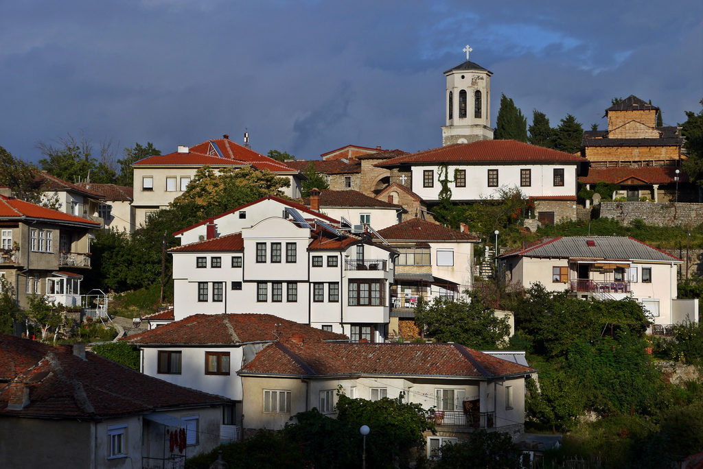 (Quasi) un necrologio: il vecchio platano di Ohrid.