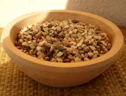 Il vento del cambiamento. I fagioli poljak e Slow Food