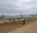 Slovenia. In visita all’Arboretum