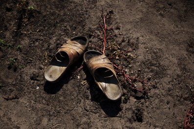 “La Strada del Cibo”. E di lei, ne vogliamo parlare? Post 15