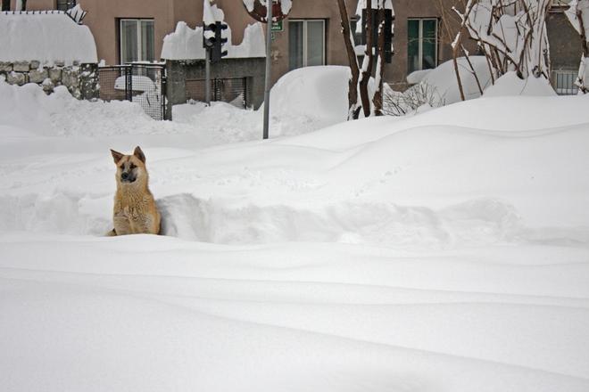 Vieni a Prishtina!