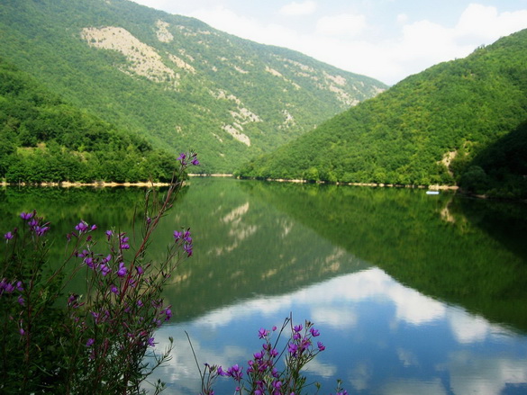 Viaggi in Romania – Bucovina – Transilvania 2010