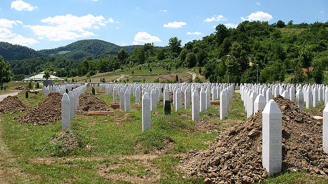 Vukovar. Storia e storie lungo il Danubio