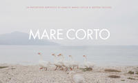 Mare Corto: parliamo dell’Adriatico