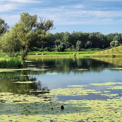 Albania-Italia. Un mare che unisce
